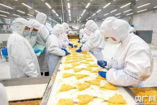 汕头海关多举措保障食品安全 去年检出301批不合格进口食品